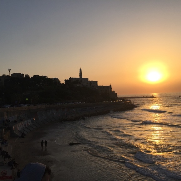 Meet your Posher, Lucy - Picture 2 of 2